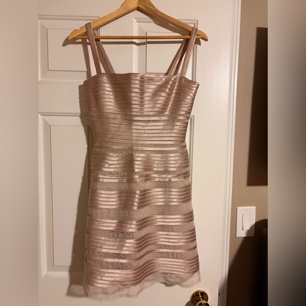 BCBGMaxAzria Strapless Blush and Silver Dress